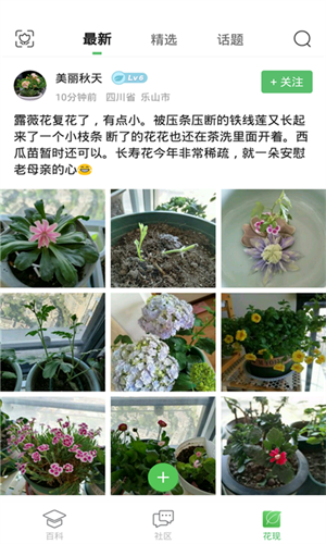 菠菜汪免费版