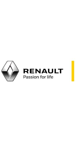 RenaultDVR中文版