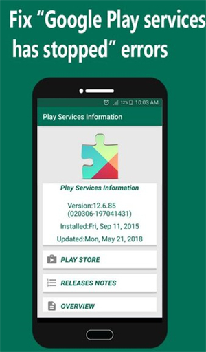 Play Services Info正式版