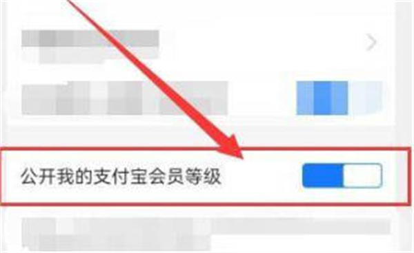 支付宝app怎么隐藏会员等级