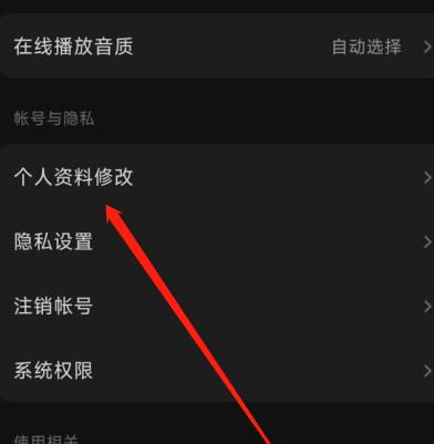 汽水音乐app怎么设置简介