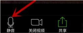 Zoom视频会议APP怎么断开音频