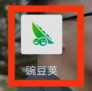 豌豆荚APP怎么清理缓存文件