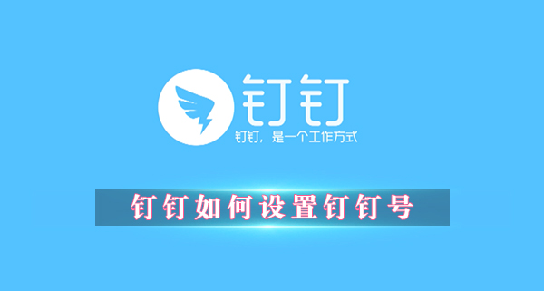 钉钉APP怎么设置钉钉号