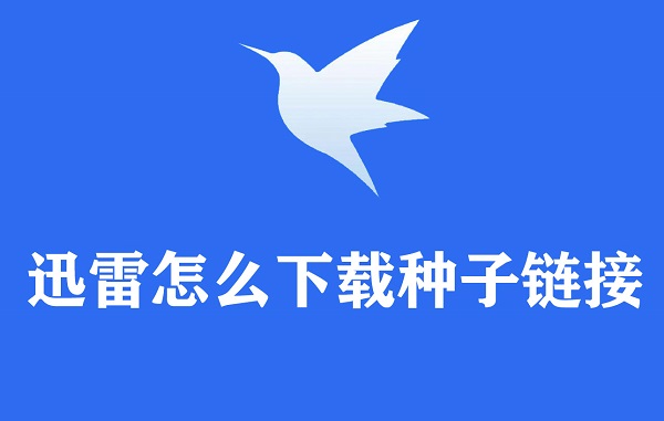 迅雷APP怎么下载种子链接