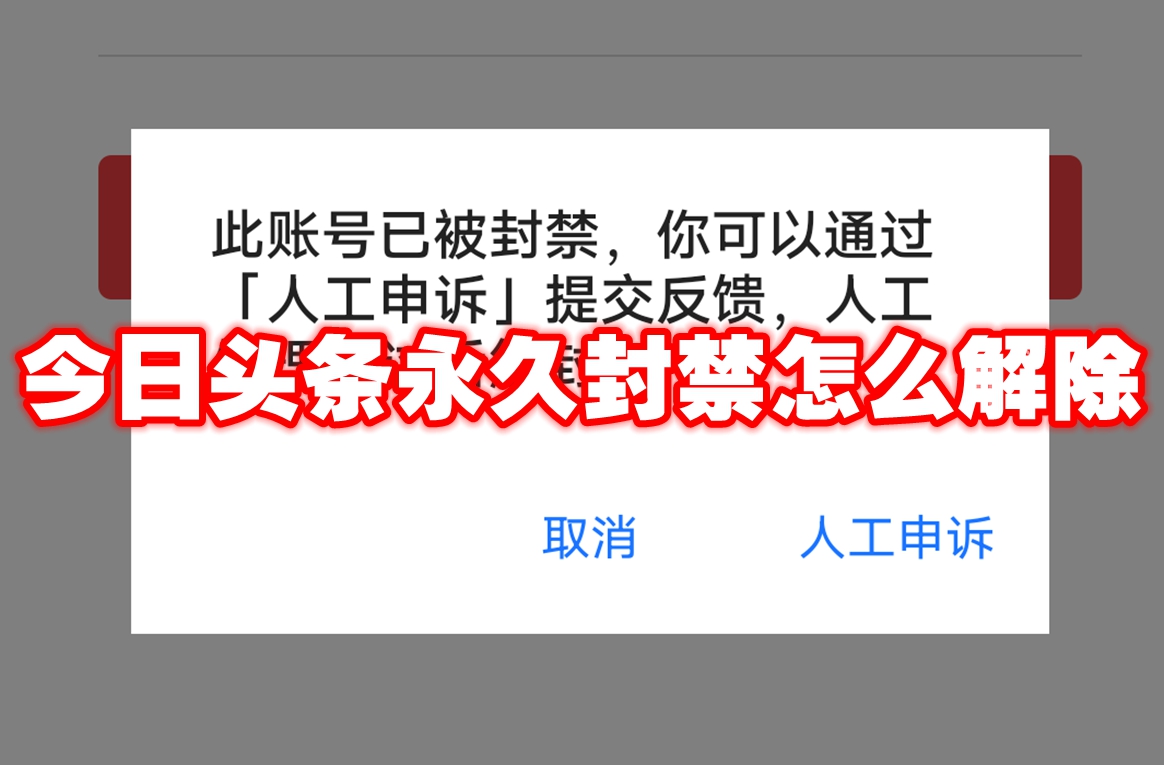 今日头条永久封禁怎么解除？