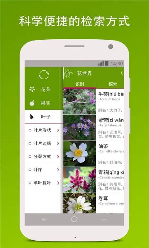 识花色免费版