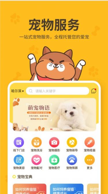 哈奇马app